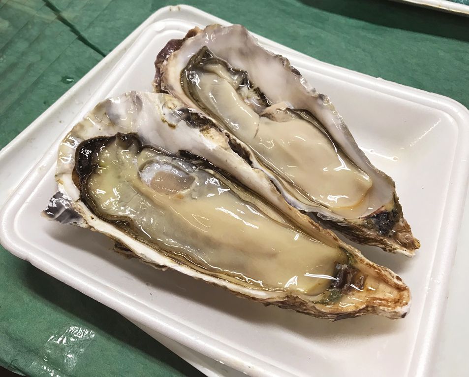 本厚木のホルモン探訪：地元グルメで舌鼓を打つ！